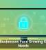 Small Businesses Face Growing Security Needs